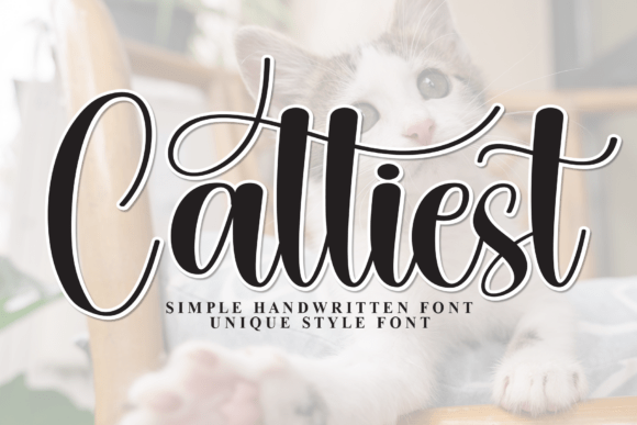 Cattiest Font for Creative Design