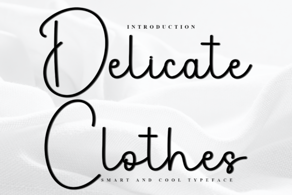 Delicate Clothes Font for Festive Design