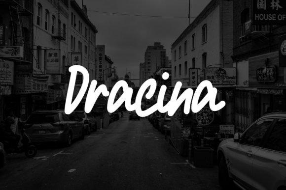 Dracina Font for Business Branding