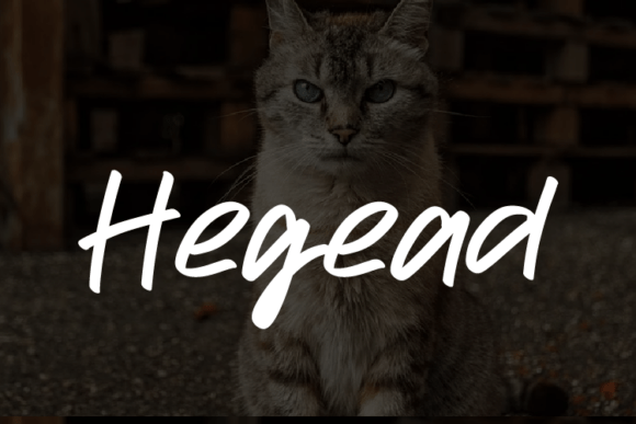 Hegead: A Font for Elegant Branding