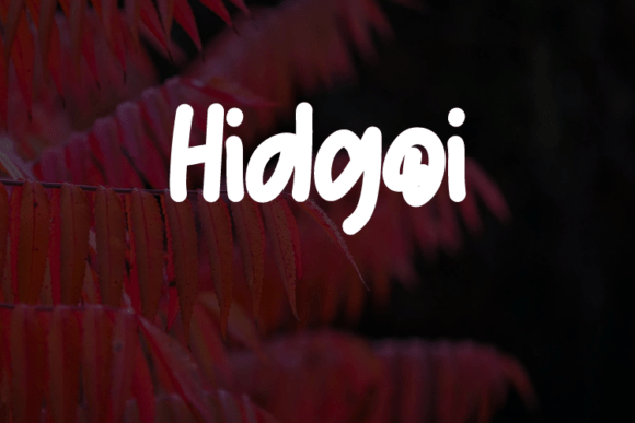 Hidgoi: A Script Handwritten Font for Modern Design