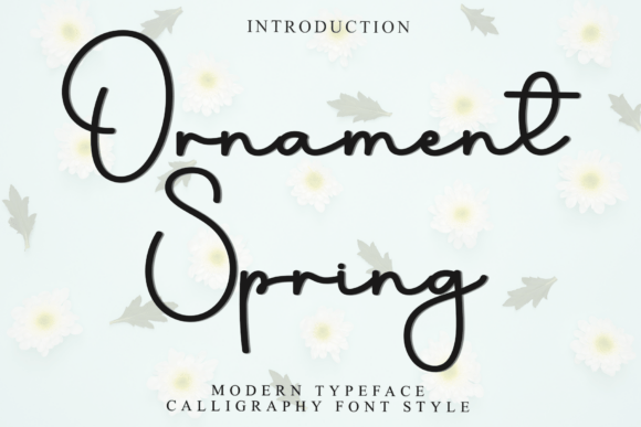 Ornament Spring Font Review