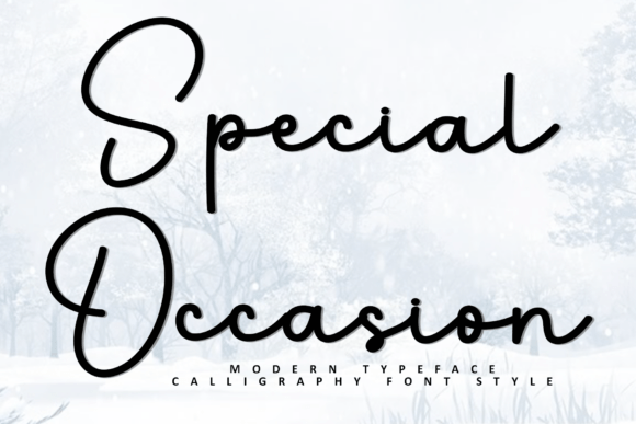 Special Occasion Font for Business Branding